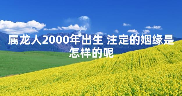 属龙人2000年出生 注定的姻缘是怎样的呢